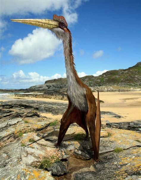 Quetzalcoatlus by Julian Johnson Mortimer on DeviantArt | Prehistoric world, Prehistoric ...