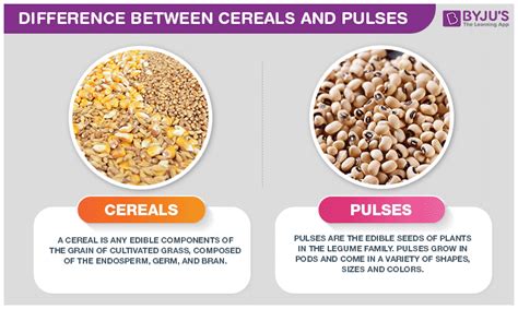 What are the differences between pulses and grains? [2022] | QAQooking.wiki