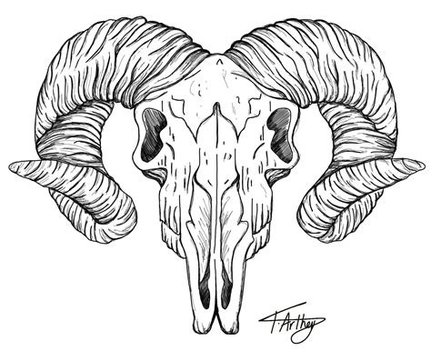 Simple Ram Skull Drawing - Printable Find A Word