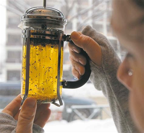 Tea culture is gradually gaining ground in coffee-crazy North America – Winnipeg Free Press