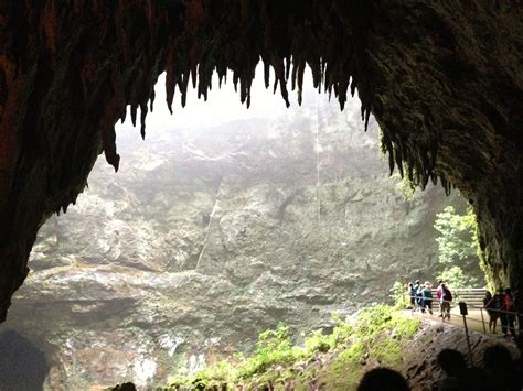 Camuy Caves, Puerto Rico Camuy, Cavern, Puerto Rico, Places Ive Been, Grand Canyon, Grands ...