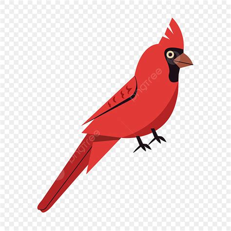 Cardenal PNG, Vectores, PSD, e Clipart Para Descarga Gratuita - Pngtree