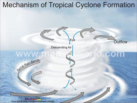 Tropical Cyclone Formation Mechanism | Weather science, Cyclone, Earth ...