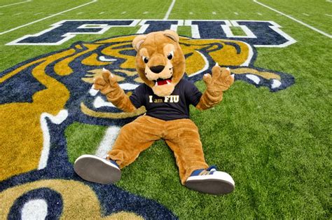 Roary! #FIU #FIUCollegeofEdu | Mascot, Panther, Florida international university