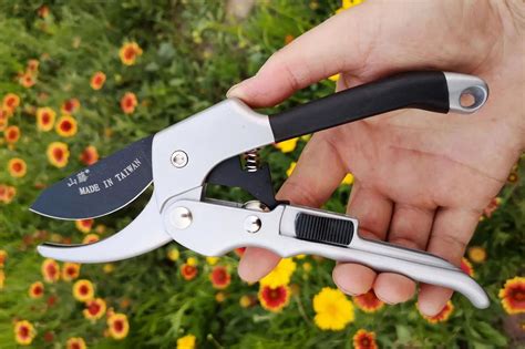 Professional Premium Titanium Bypass Pruning Shears, Hand Pruners ...