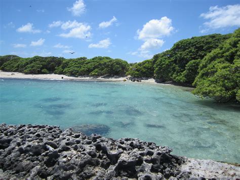 Learn About Our Islands - Friends of Hawaiian Islands National Wildlife Refuge