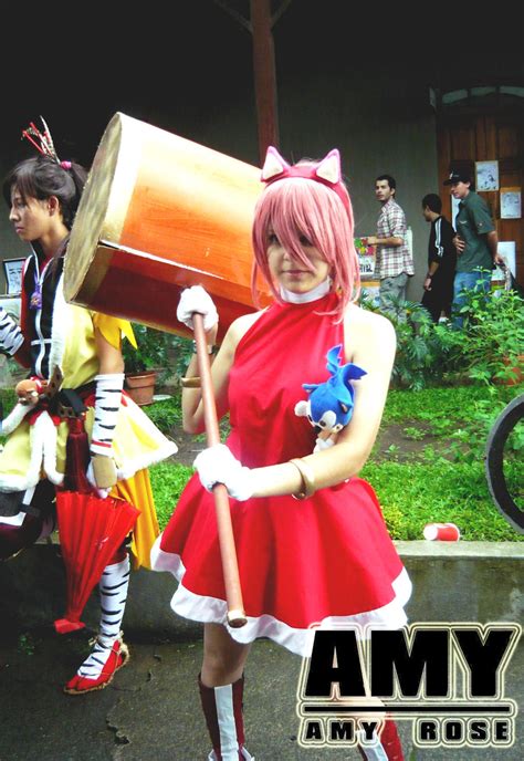 Amy Rose Cosplay by Dianmari on DeviantArt