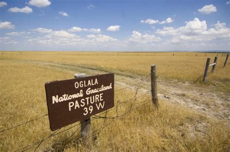 KNEB-AM 960 AM – 100.3 FM - Nebraska National Forests and Grasslands ...