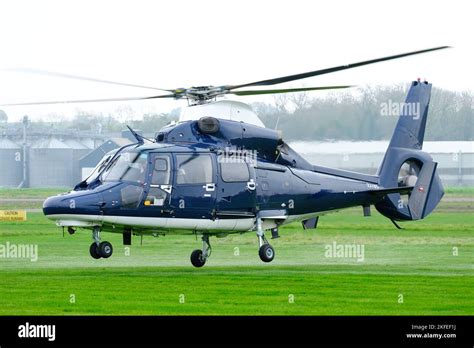 Army Air Corps AS365 Dauphin helicopter flown by 658 Squadron for the UK Special Forces ( UKSF ...