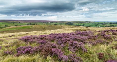 Walks to appreciate the natural beauty of Baildon - Visit Baildon