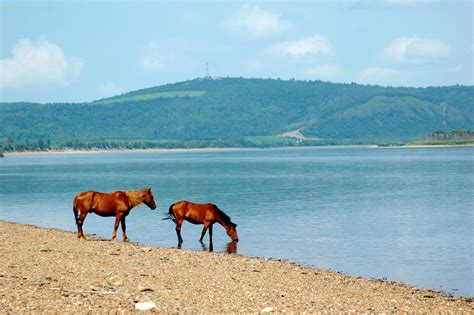 Heilongjiang Province