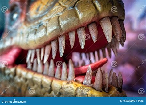 Sharp Teeth of a Velociraptor Dinosaur Editorial Stock Image - Image of dino, life: 166335299