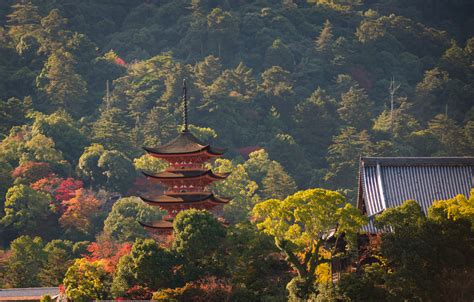 2020 Japan Fall Colors Forecast & Autumn Foliage Viewing Guide - Travel ...