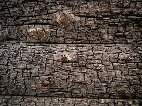 Burnt wood texture | Copyright-free photo (by M. Vorel) | LibreShot