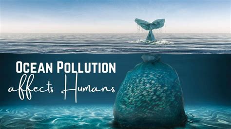 Maritime infographic: How Ocean Pollution affects Humans | MaritimeCyprus
