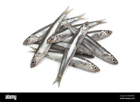 Fresh raw European anchovy on white background Stock Photo - Alamy