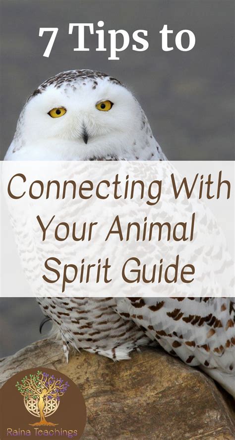 Animal Spirit Guides | Animal spirit guides, Spirit guides, Find your spirit animal