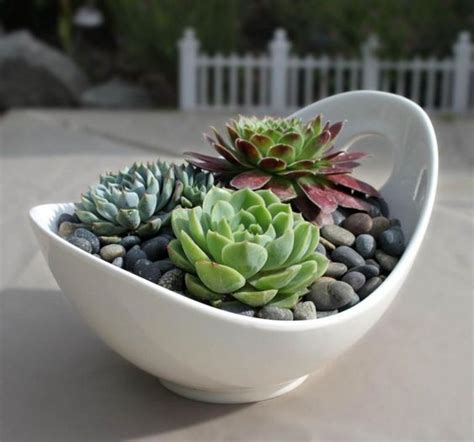 60+ DIY Indoor Succulent Arrangements Ideas 2019 - Page 32 of 61 ...