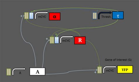 Team:BrownTwo/Implementation/construction - 2008.igem.org