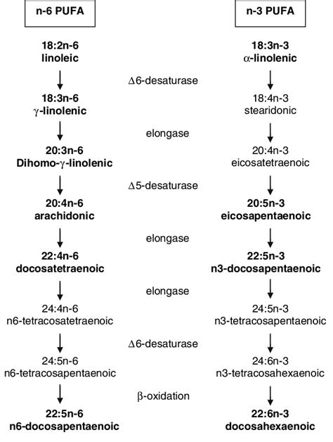 Biosynthesis of long-chain polyunsaturated fatty acids (PUFA) in ...