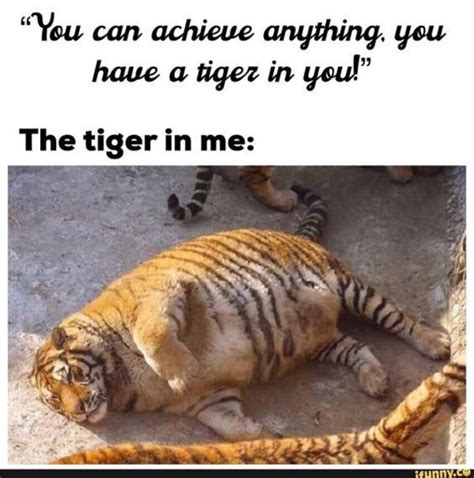 My inner tiger | Cats | Know Your Meme