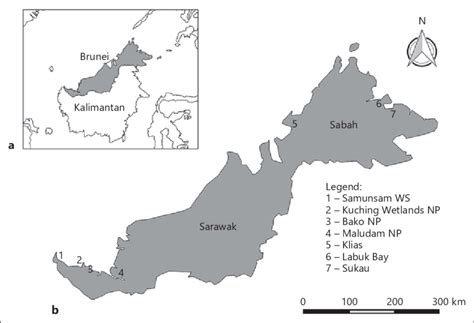 Inset map (a) showing the island of Borneo with Sabah and Sarawak ...