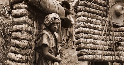 Qing Dynasty: Stunning Photos Of China Before The Revolution