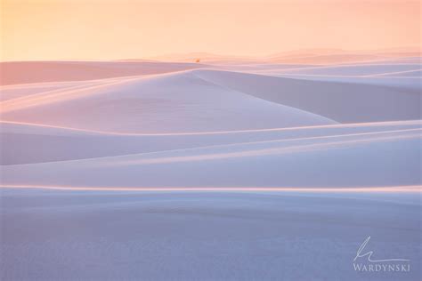 White Sands Landscape Photography Workshop | Mike Wardynski | Mike ...