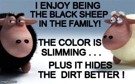 family black sheep meme - Yahoo Search Results | Black sheep, Sheep ...