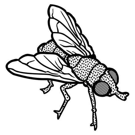 Fly line art vector clip art | Free SVG