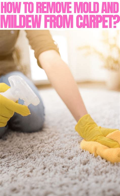 How To Remove Mold From.carpet - JaneDyer