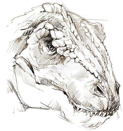 Carnotaurus Drawing : Step Carnotaurus Draw Dinosaur Hellokids | Leadrisers