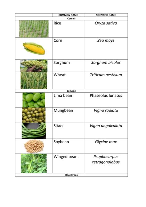 Scientific names | PDF