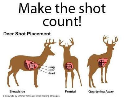 Pin on hunting tips/ guns