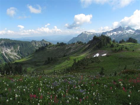 St. Andrews Park - St. Andrews Lake — Washington Trails Association