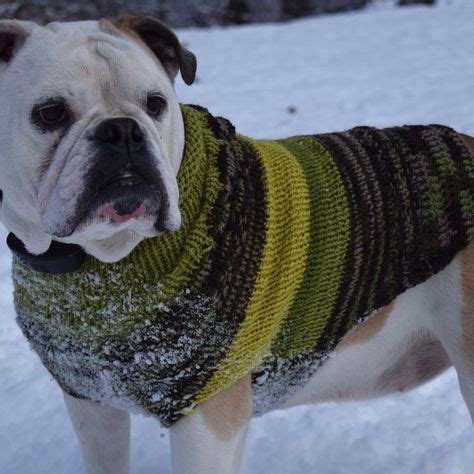 24 ENGLISH BULLDOG HAND KNIT SWEATERS ideas | hand knitting, english bulldog, bulldog