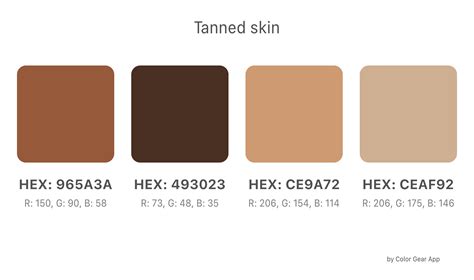 ‎Color Gear: Colour Wheel | Skin color palette, Brown color palette, Brown color palette hex code
