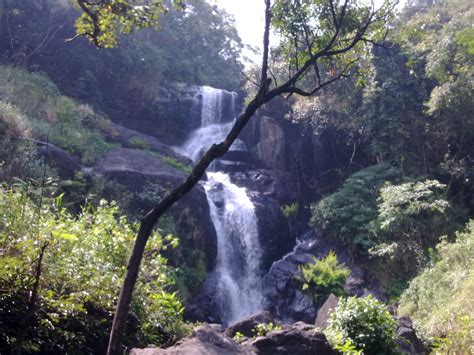 Wayanad, Kerala - India Travel Forum | IndiaMike.com