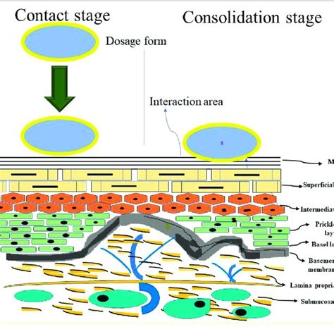 Advantages, limitations and challenges associated with various... | Download Scientific Diagram