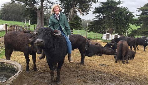 This Is Hobby Farming: A Brush With Destiny (And Water Buffalo) - Hobby Farms