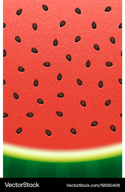 Watermelon texture background Royalty Free Vector Image