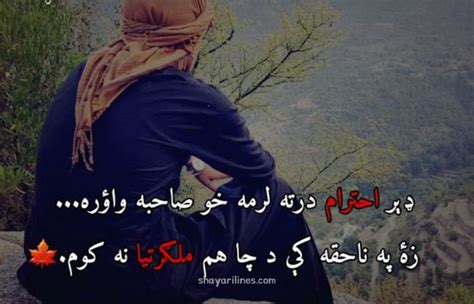 *New* Pashto Love Poetry in Urdu (Pashto Poetry, Status) 2024