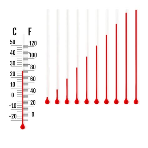 Premium Vector | Parts of liquid thermometers.