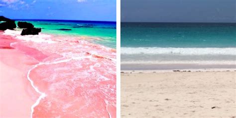 Pink sand beaches Bahamas really pink? - Business Insider