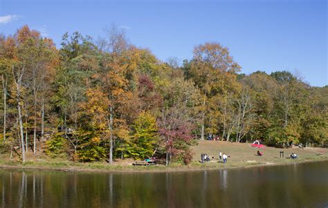 Exploring Indiana’s Brown County State Park | Destinations & Desserts