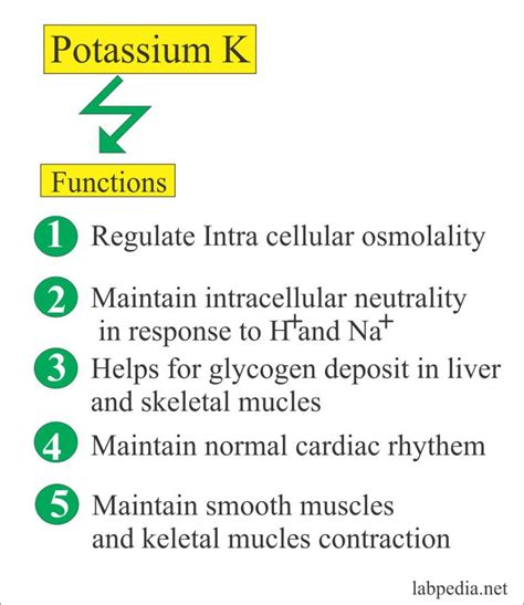 Electrolytes – Part 1 – Potassium (K+) Blood – Labpedia.net