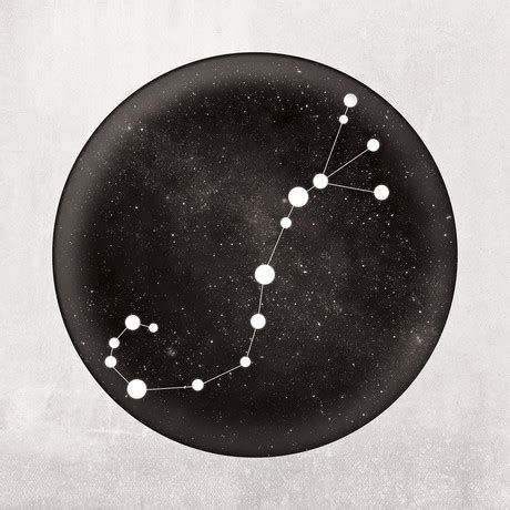 Scorpio Constellation Art Print - Zodiac Constellations - Touch of Modern