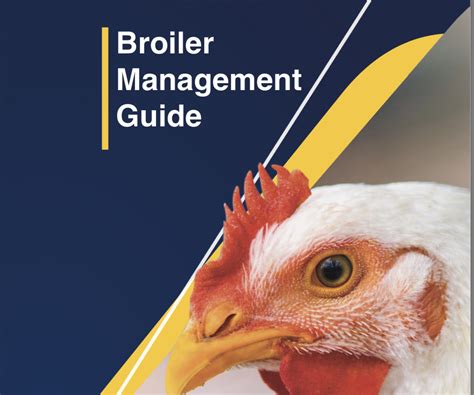 Broiler Guide - Nutramix - The Big Feed