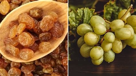 Are soaked raisins healthier than grapes? Nutritionist busts myth ...