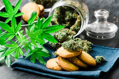 Cooking With Cannabis - Don’t Make These Mistakes | Hooti Extracts